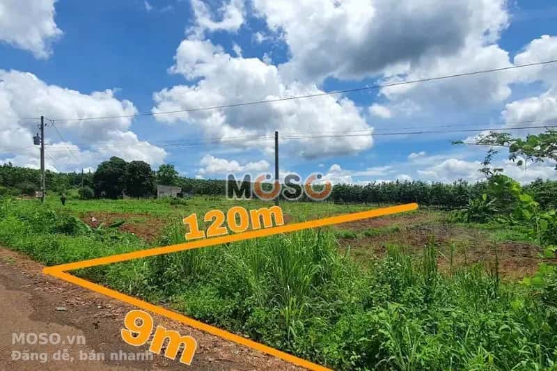Bán đất Unnamed Huyện Bù Gia Mập, Bình Phước – giá 174 triệu - ảnh 1