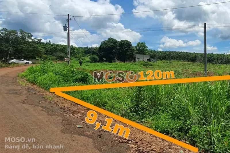 Bán đất Unnamed Huyện Bù Gia Mập, Bình Phước – giá 208 triệu - ảnh 1