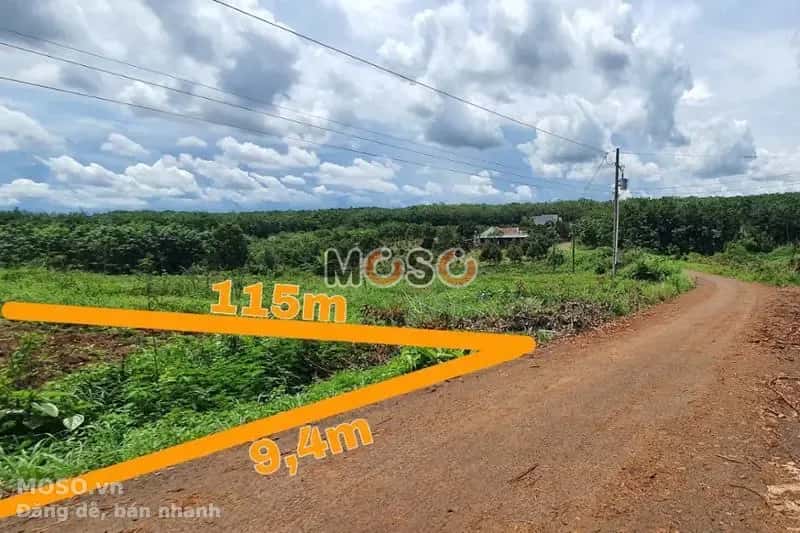 Bán đất Unnamed Huyện Bù Gia Mập, Bình Phước – giá 241 triệu - ảnh 1