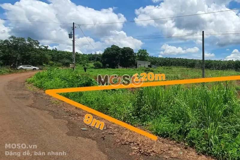Bán đất Unnamed Huyện Bù Gia Mập, Bình Phước – giá 227 triệu - ảnh 1