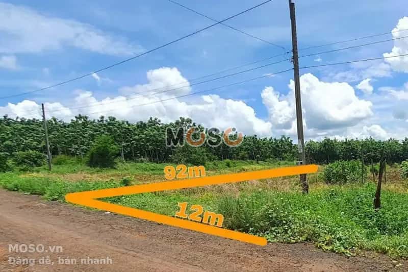 Bán đất Unnamed Huyện Bù Gia Mập, Bình Phước – giá 266 triệu - ảnh 1
