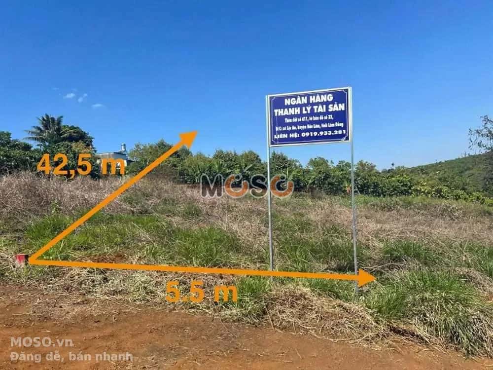 Bán đất Huyện Bảo Lâm, Lâm Đồng – giá 313 triệu - ảnh 1
