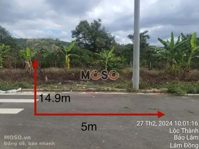 Bán đất Huyện Bảo Lâm, Lâm Đồng – giá 297 triệu - ảnh 1