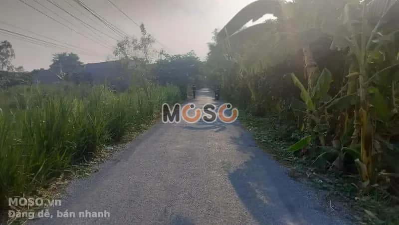 Bán đất Huyện Cao Lãnh, Đồng Tháp – giá 570 triệu - ảnh 1