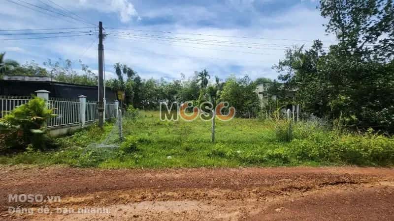 Bán đất Huyện Dầu Tiếng, Bình Dương – giá 1.6 tỷ - ảnh 1