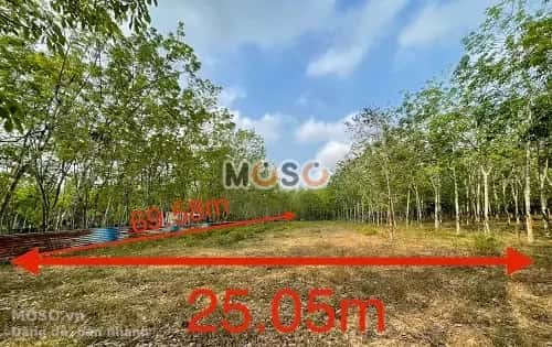 Bán đất Khu Phố 5 Huyện Dầu Tiếng, Bình Dương – giá 3.4 tỷ - ảnh 1