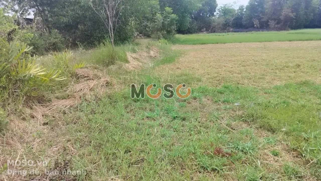 Bán đất Văn Ngọc Chính Thành phố Sóc Trăng, Sóc Trăng – giá 2.9 tỷ - ảnh 3