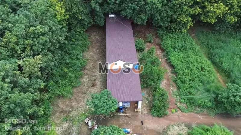 Bán đất Thị xã Phước Long, Bình Phước – giá 131.8 triệu - ảnh 5