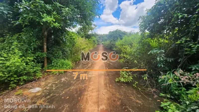 Bán đất Thị xã Phước Long, Bình Phước – giá 148.2 triệu - ảnh 2