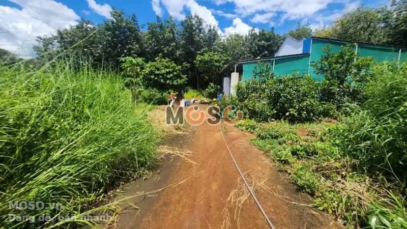 Bán đất Thị xã Phước Long, Bình Phước – giá 131.8 triệu - ảnh 3