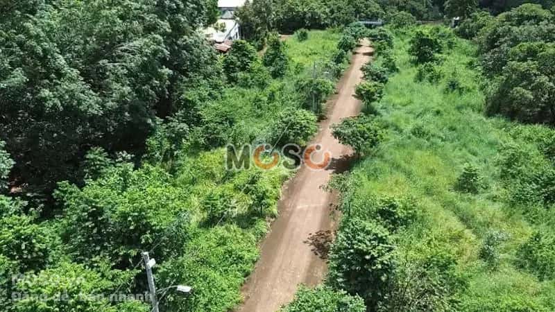 Bán đất Thị xã Phước Long, Bình Phước – giá 148.2 triệu - ảnh 5