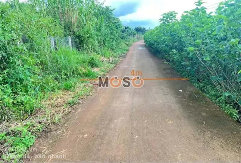 Bán đất Đông Thanh Huyện Lâm Hà, Lâm Đồng – giá 1.2 tỷ - ảnh 5