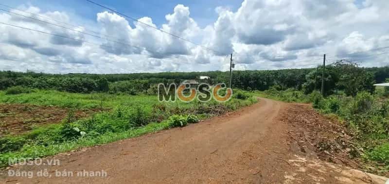Bán đất Unnamed Huyện Bù Gia Mập, Bình Phước – giá 251 triệu - ảnh 3
