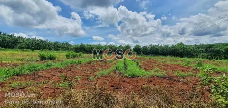 Bán đất Unnamed Huyện Bù Gia Mập, Bình Phước – giá 164 triệu - ảnh 4