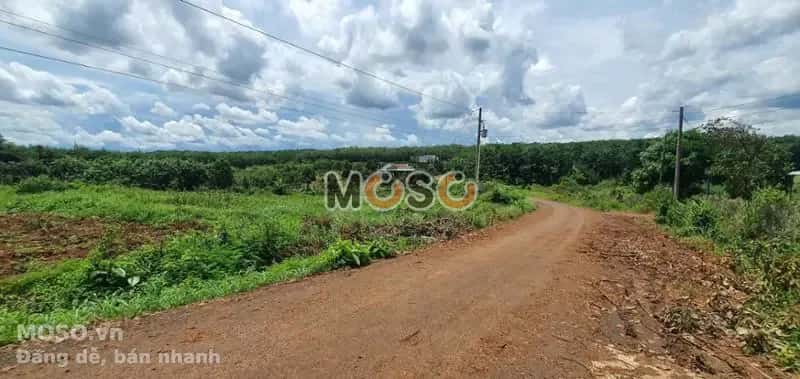 Bán đất Unnamed Huyện Bù Gia Mập, Bình Phước – giá 174 triệu - ảnh 2