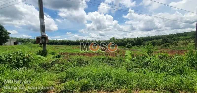 Bán đất Unnamed Huyện Bù Gia Mập, Bình Phước – giá 208 triệu - ảnh 3