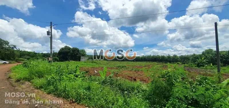 Bán đất Unnamed Huyện Bù Gia Mập, Bình Phước – giá 227 triệu - ảnh 3
