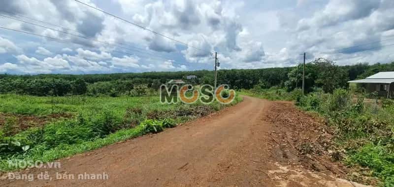 Bán đất Unnamed Huyện Bù Gia Mập, Bình Phước – giá 241 triệu - ảnh 2