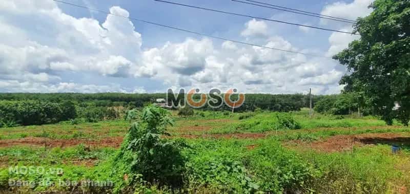Bán đất Unnamed Huyện Bù Gia Mập, Bình Phước – giá 241 triệu - ảnh 3