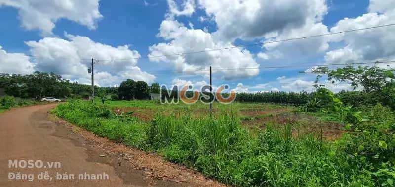 Bán đất Unnamed Huyện Bù Gia Mập, Bình Phước – giá 241 triệu - ảnh 4