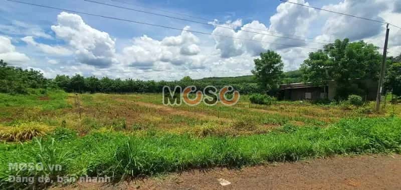 Bán đất Unnamed Huyện Bù Gia Mập, Bình Phước – giá 266 triệu - ảnh 2