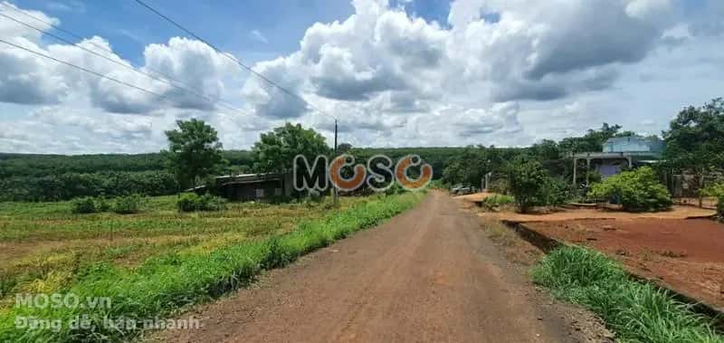 Bán đất Unnamed Huyện Bù Gia Mập, Bình Phước – giá 135 triệu - ảnh 3