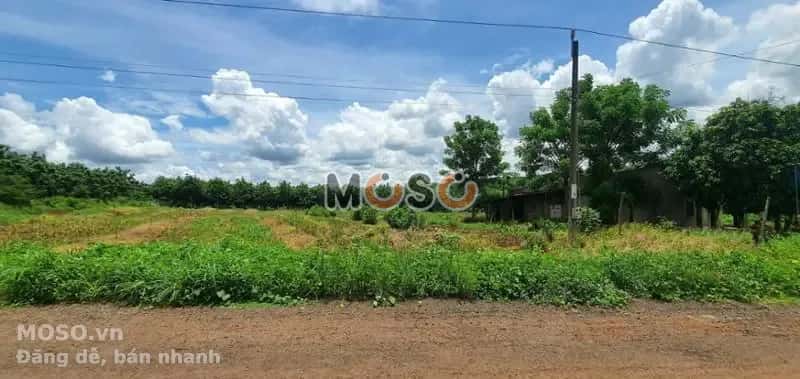 Bán đất Unnamed Huyện Bù Gia Mập, Bình Phước – giá 266 triệu - ảnh 3