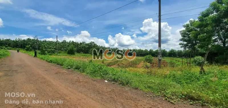 Bán đất Unnamed Huyện Bù Gia Mập, Bình Phước – giá 266 triệu - ảnh 5