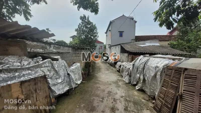 Bán đất Huyện Quế Võ, Bắc Ninh – giá 1.2 tỷ - ảnh 2