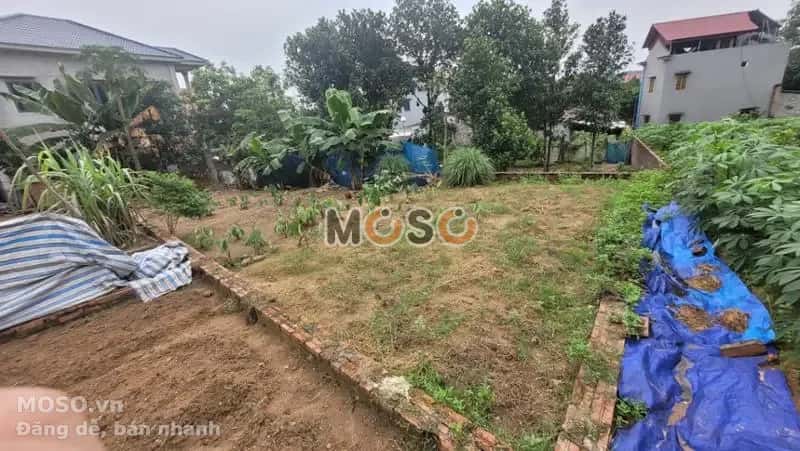 Bán đất Huyện Quế Võ, Bắc Ninh – giá 1.2 tỷ - ảnh 5