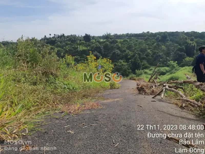 Bán đất Huyện Bảo Lâm, Lâm Đồng – giá 313 triệu - ảnh 5