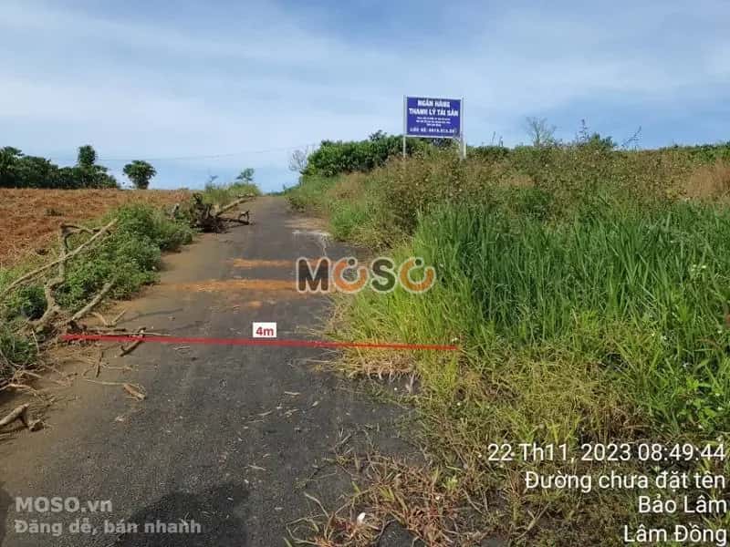 Bán đất Huyện Bảo Lâm, Lâm Đồng – giá 313 triệu - ảnh 4