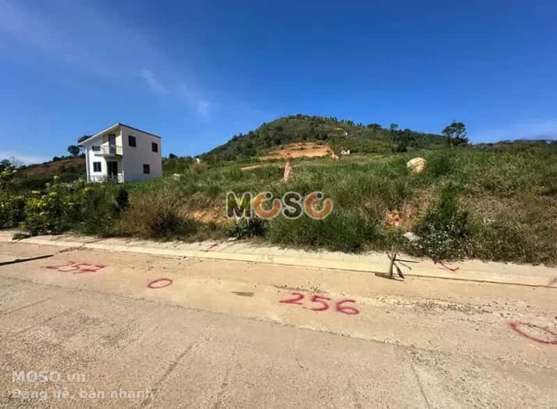 Bán đất Huyện Bảo Lâm, Lâm Đồng – giá 232 triệu - ảnh 2