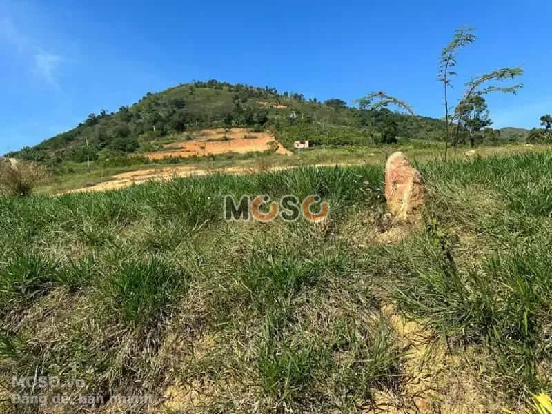 Bán đất Huyện Bảo Lâm, Lâm Đồng – giá 232 triệu - ảnh 6
