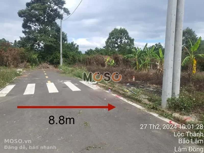 Bán đất Huyện Bảo Lâm, Lâm Đồng – giá 297 triệu - ảnh 2