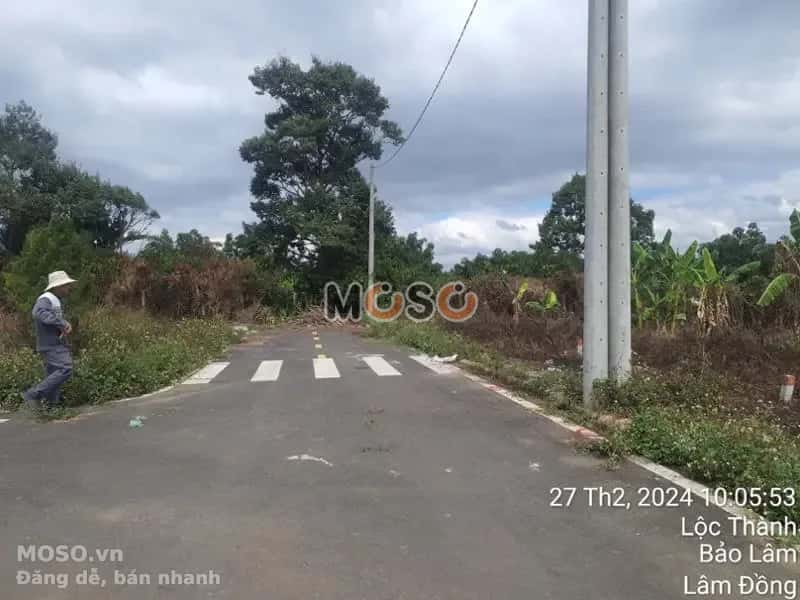 Bán đất Huyện Bảo Lâm, Lâm Đồng – giá 297 triệu - ảnh 4