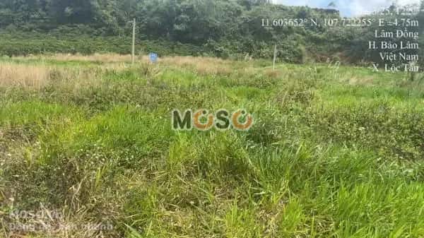 Bán đất Huyện Bảo Lâm, Lâm Đồng – giá 589 triệu - ảnh 3