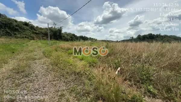 Bán đất Huyện Bảo Lâm, Lâm Đồng – giá 589 triệu - ảnh 4