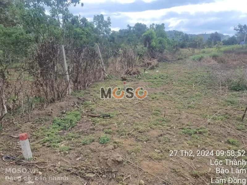 Bán đất Huyện Bảo Lâm, Lâm Đồng – giá 297 triệu - ảnh 5