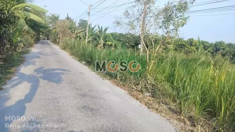 Bán đất Huyện Cao Lãnh, Đồng Tháp – giá 570 triệu - ảnh 3