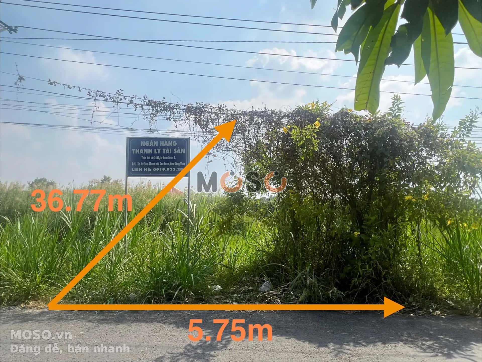 Bán đất Huyện Cao Lãnh, Đồng Tháp – giá 570 triệu - ảnh 4