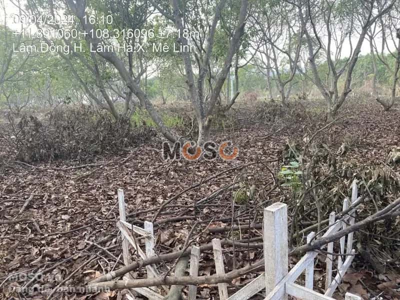 Bán đất Huyện Lâm Hà, Lâm Đồng – giá 1.8 tỷ - ảnh 4