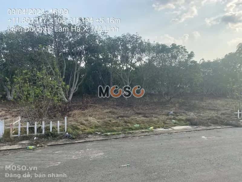 Bán đất Huyện Lâm Hà, Lâm Đồng – giá 1.8 tỷ - ảnh 5