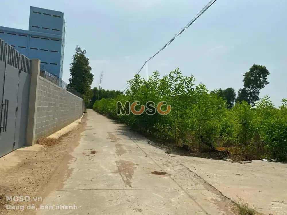 Bán đất Phú Mỹ, BRVT – giá 773 triệu - ảnh 4