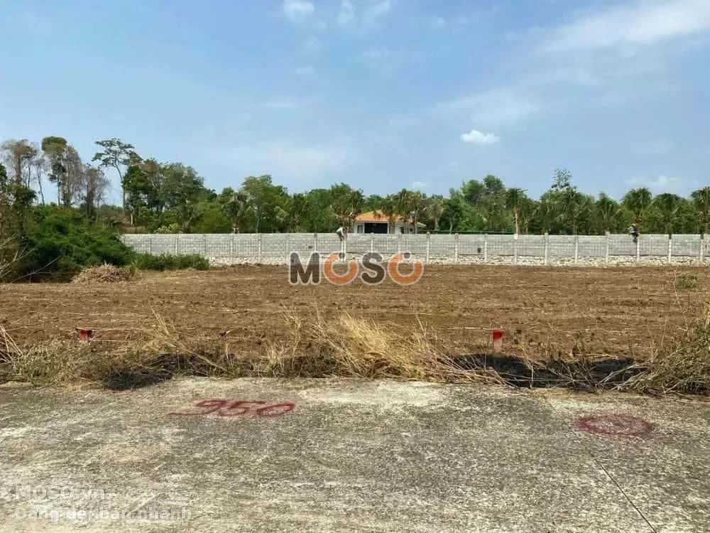 Bán đất Phú Mỹ, BRVT – giá 773 triệu - ảnh 5