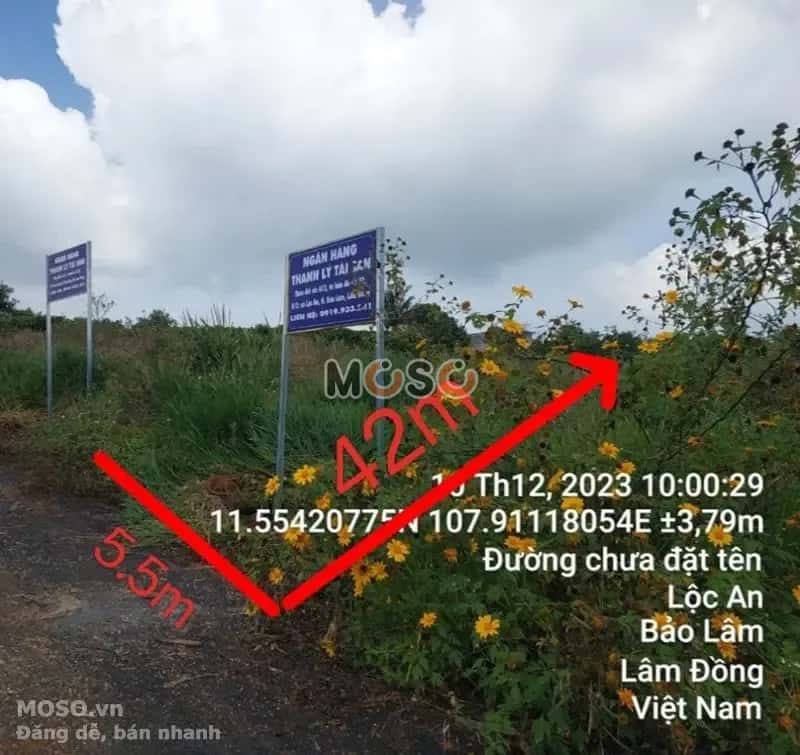 Bán đất Huyện Bảo Lâm, Lâm Đồng – giá 363 triệu - ảnh 1