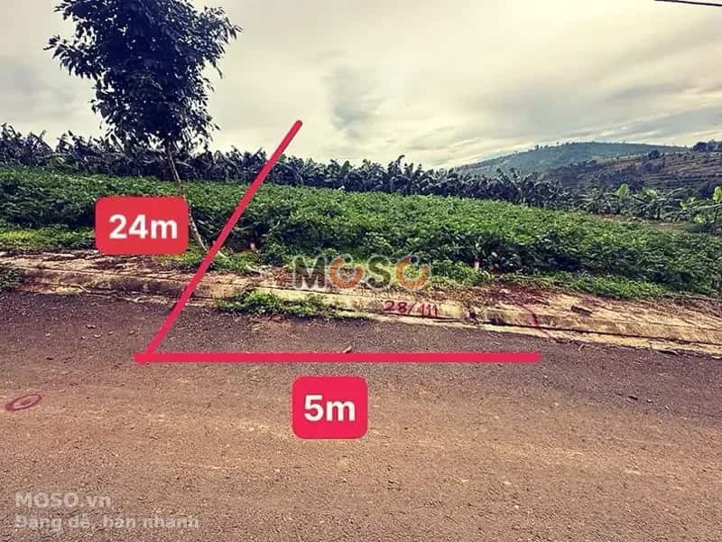 Bán đất Huyện Bảo Lâm, Lâm Đồng – giá 287 triệu - ảnh 1