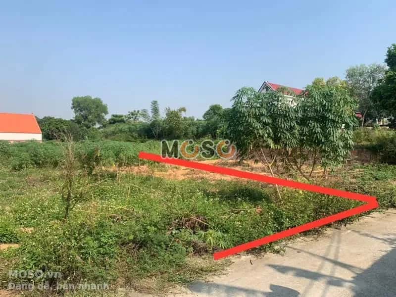 Bán đất Huyện Quế Võ, Bắc Ninh – giá 1.2 tỷ - ảnh 1