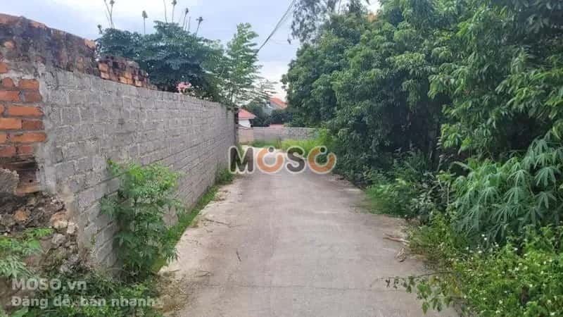 Bán đất Huyện Quế Võ, Bắc Ninh – giá 1.3 tỷ - ảnh 1