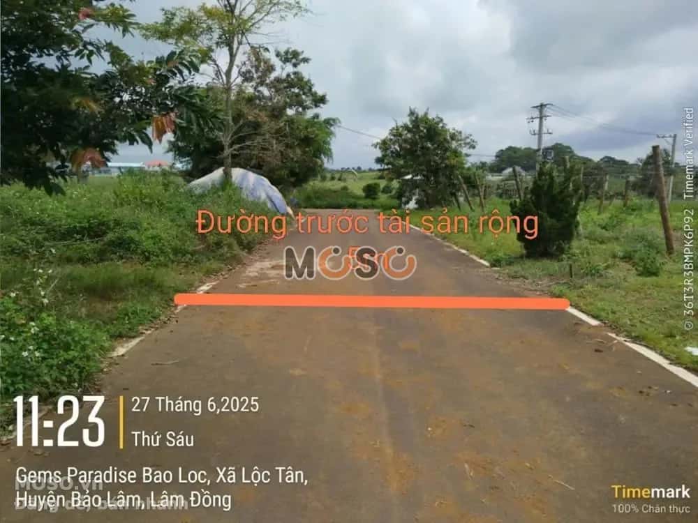 Bán đất Huyện Bảo Lâm, Lâm Đồng – giá 451.4 triệu - ảnh 2